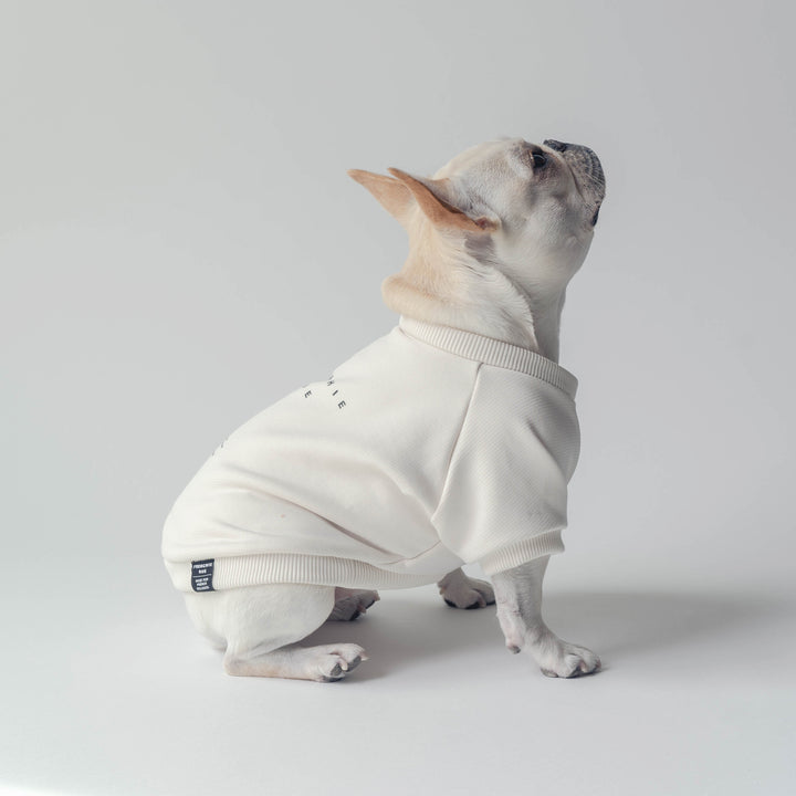 FR SWEATSHIRTS - Typography