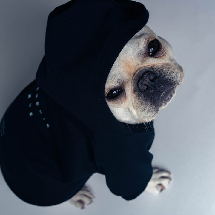 FR HOODIE - Typography