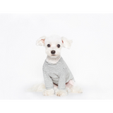 belive cotton t-shirt