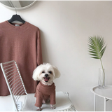 belive cotton t-shirt