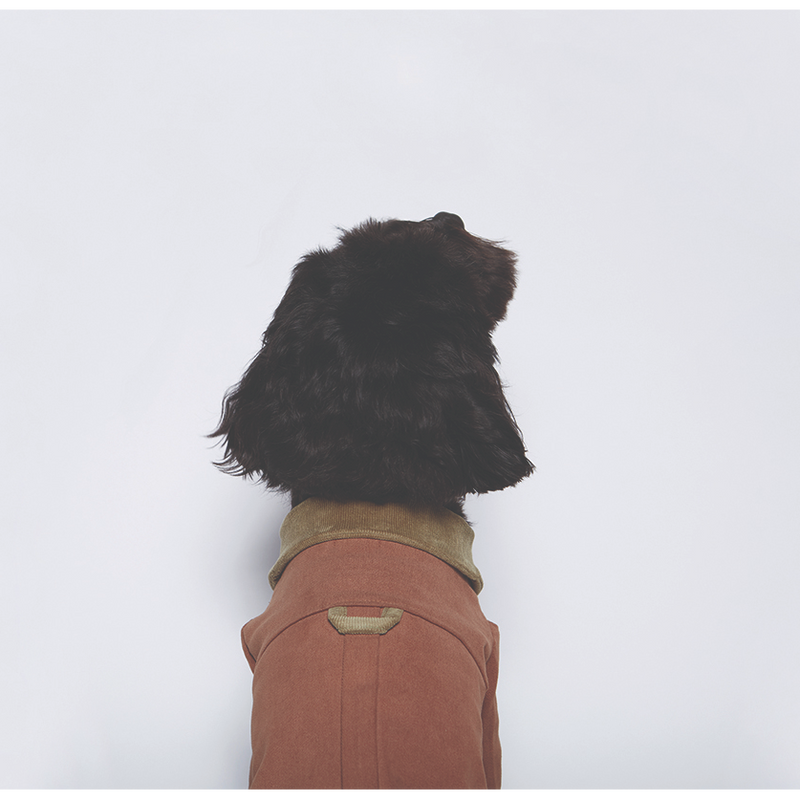 safari jacket