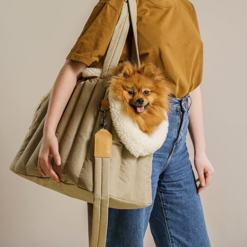 Hunting Pony Carrying Pony Bag – HOT DOG STUDIO
