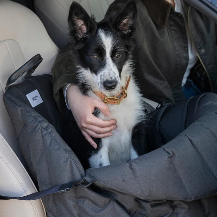 DOG CAR SEAT