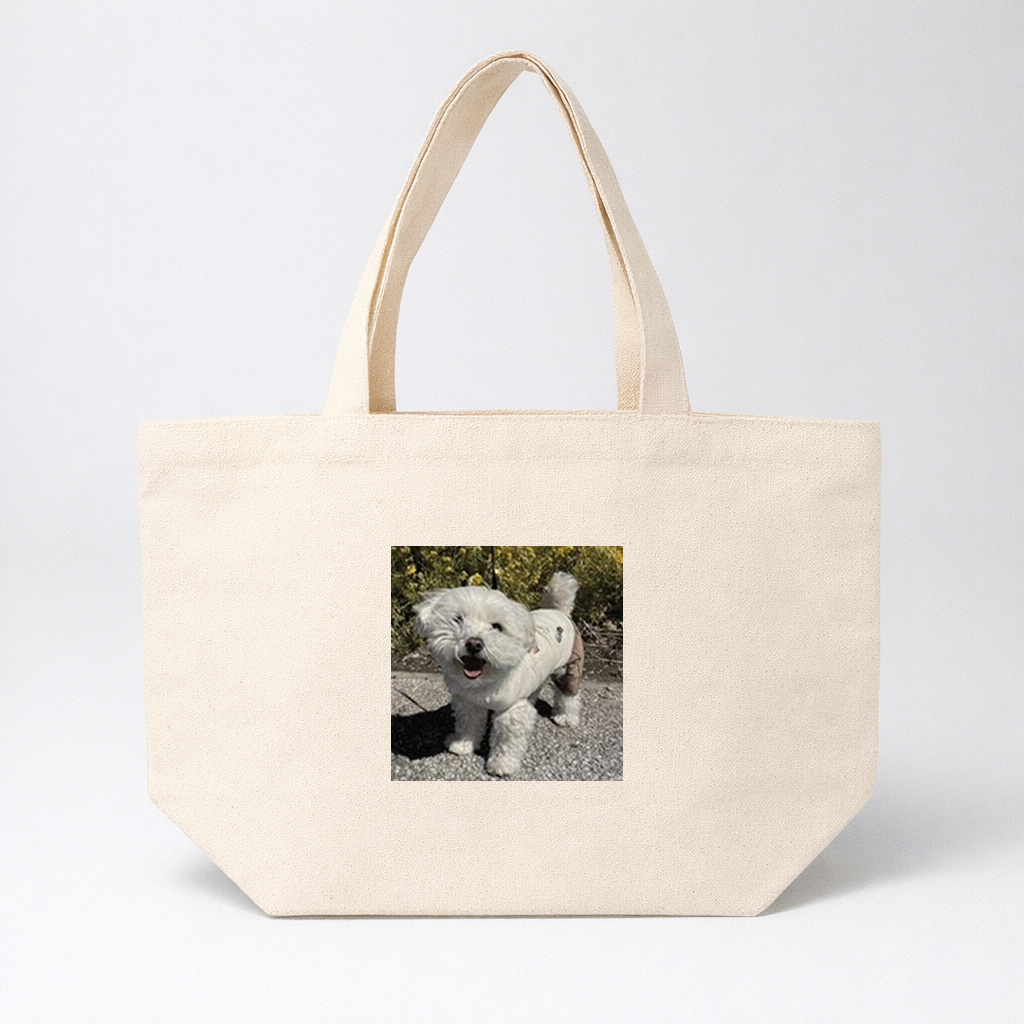 Osanpo Bag