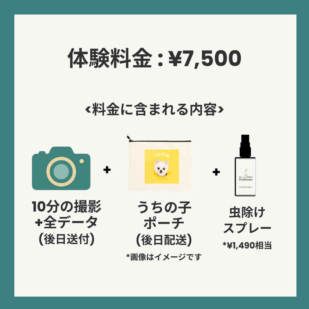 punkt.撮影会