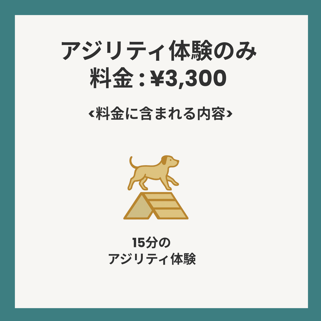 アジリティ体験会