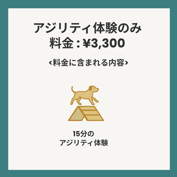 アジリティ体験会