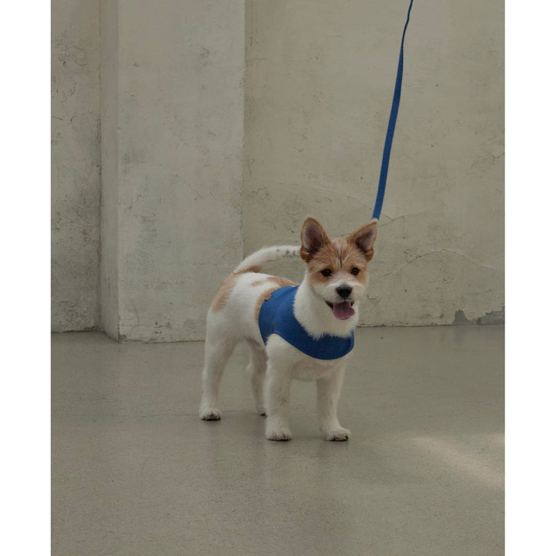 NEW WALK JACKET