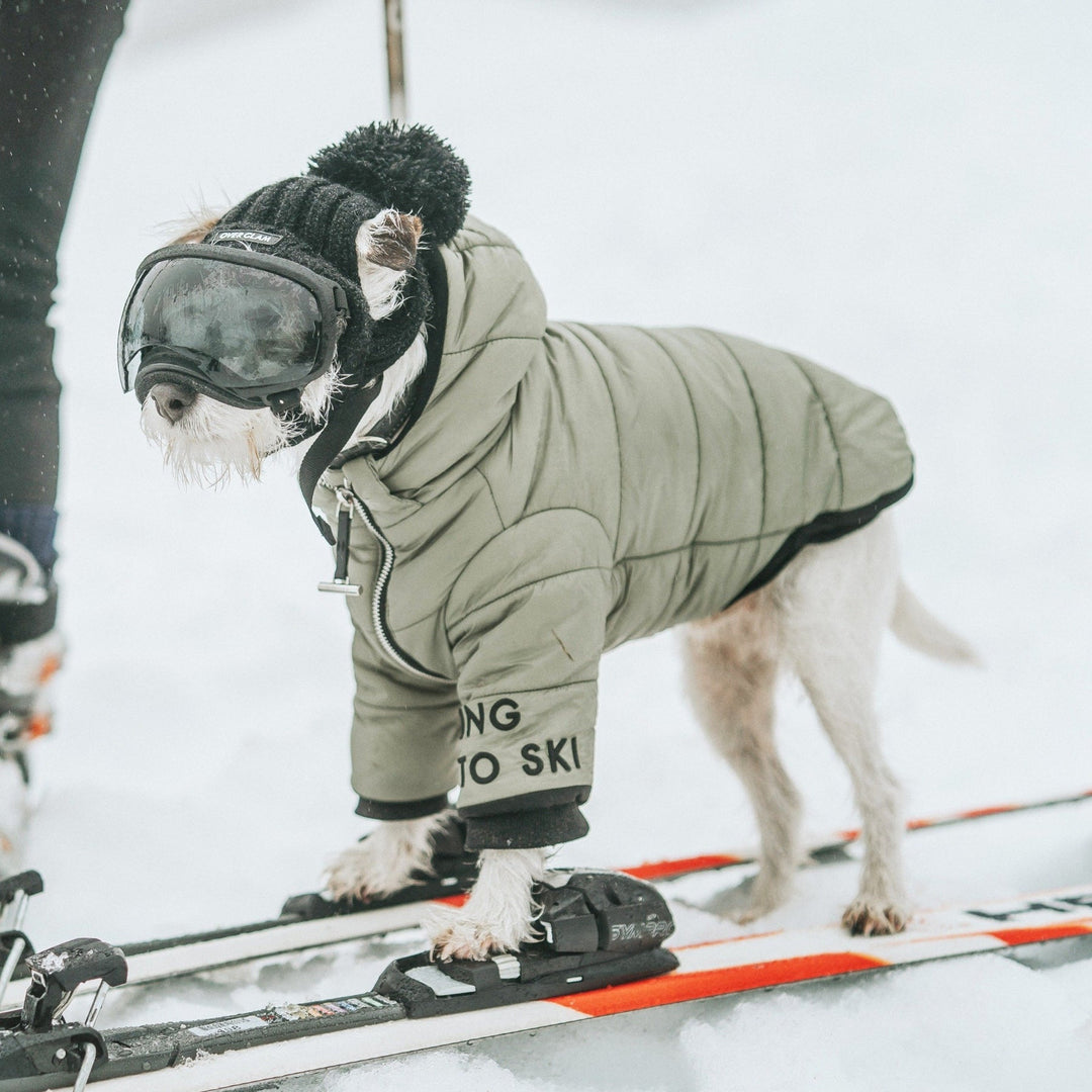Zip Up Puffer Ski Jacket with Hood