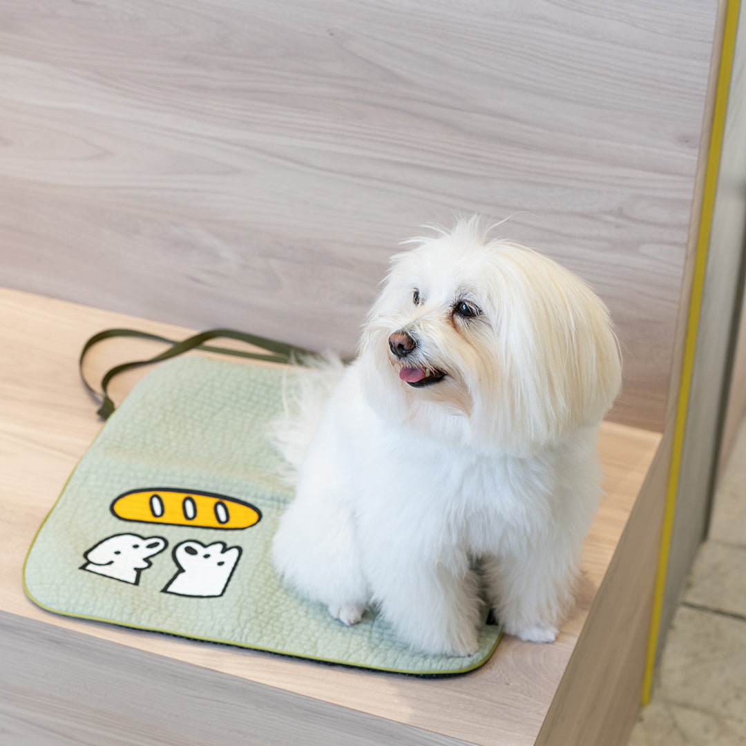 matsui DOGS×HOT DOG TOWN カフェマット