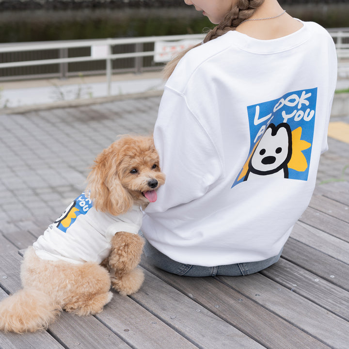 matsui DOGS OSOROI WEAR - DOG WEAR