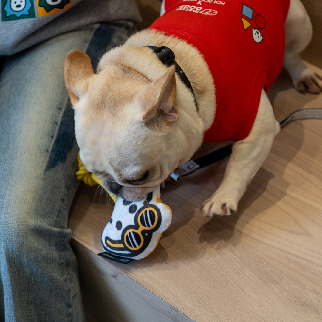 matsui DOGS×HOT DOG TOWN トイ
