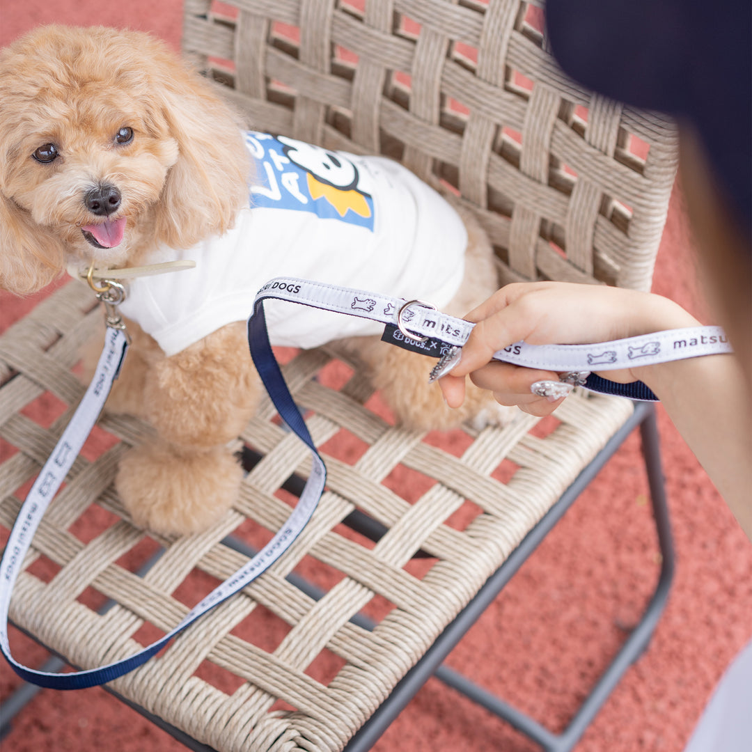 matsui DOGS×HOT DOG TOWN リード